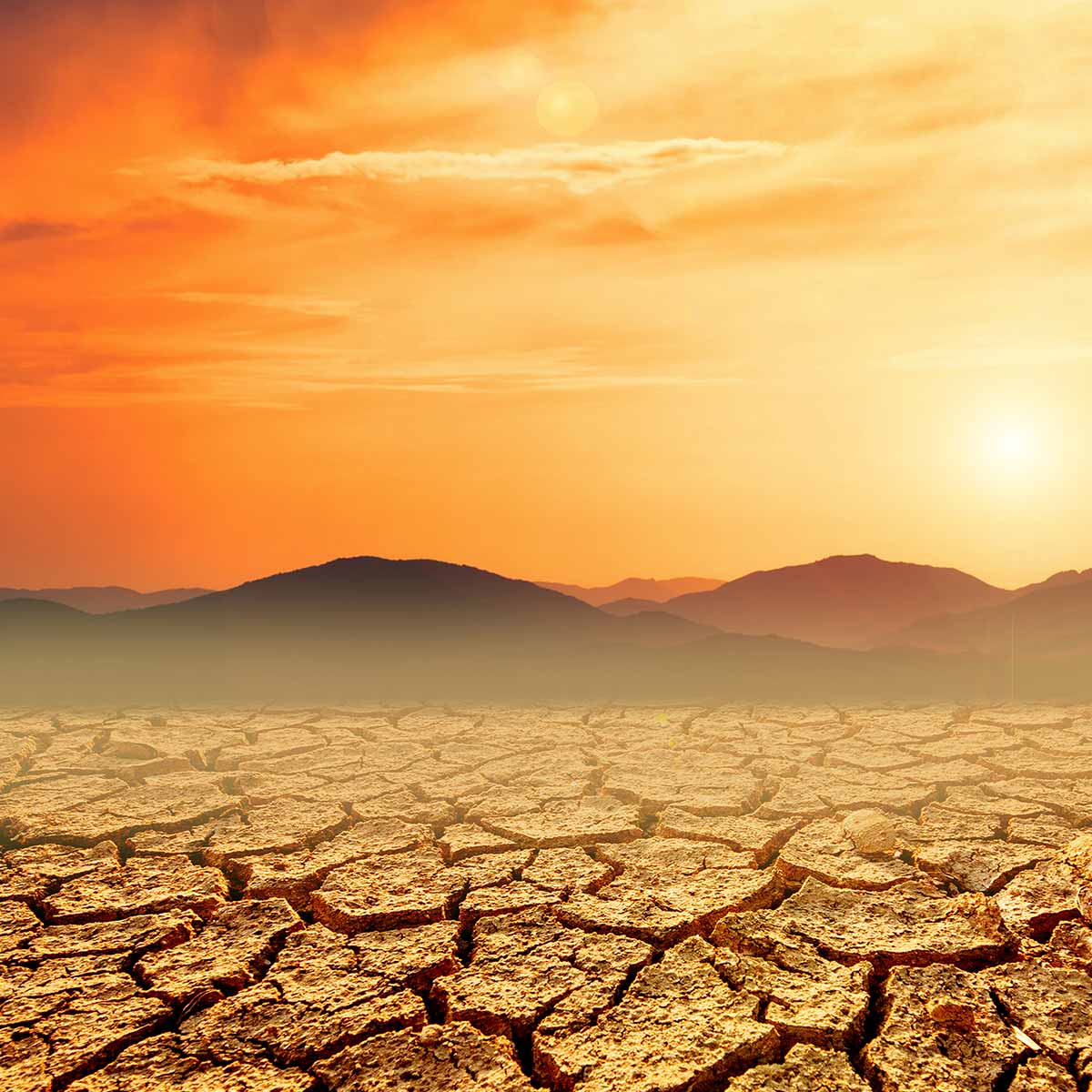Climat aride / désertique