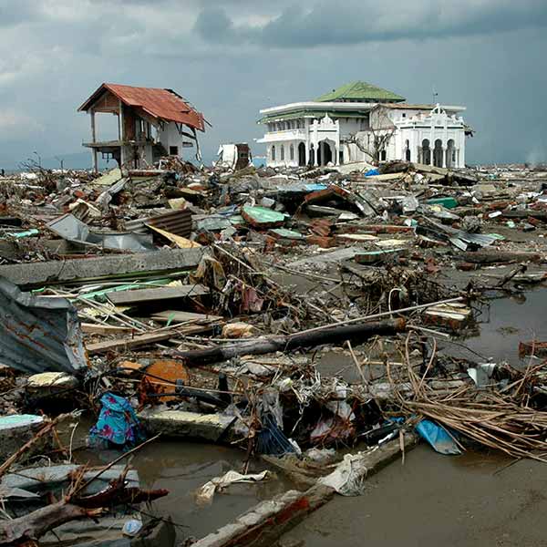Désolation après un tsunami
