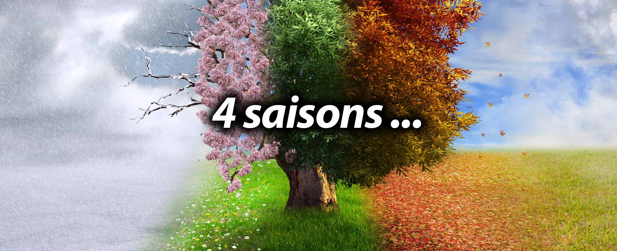 Les 4 saisons
